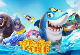 开云足球手机版